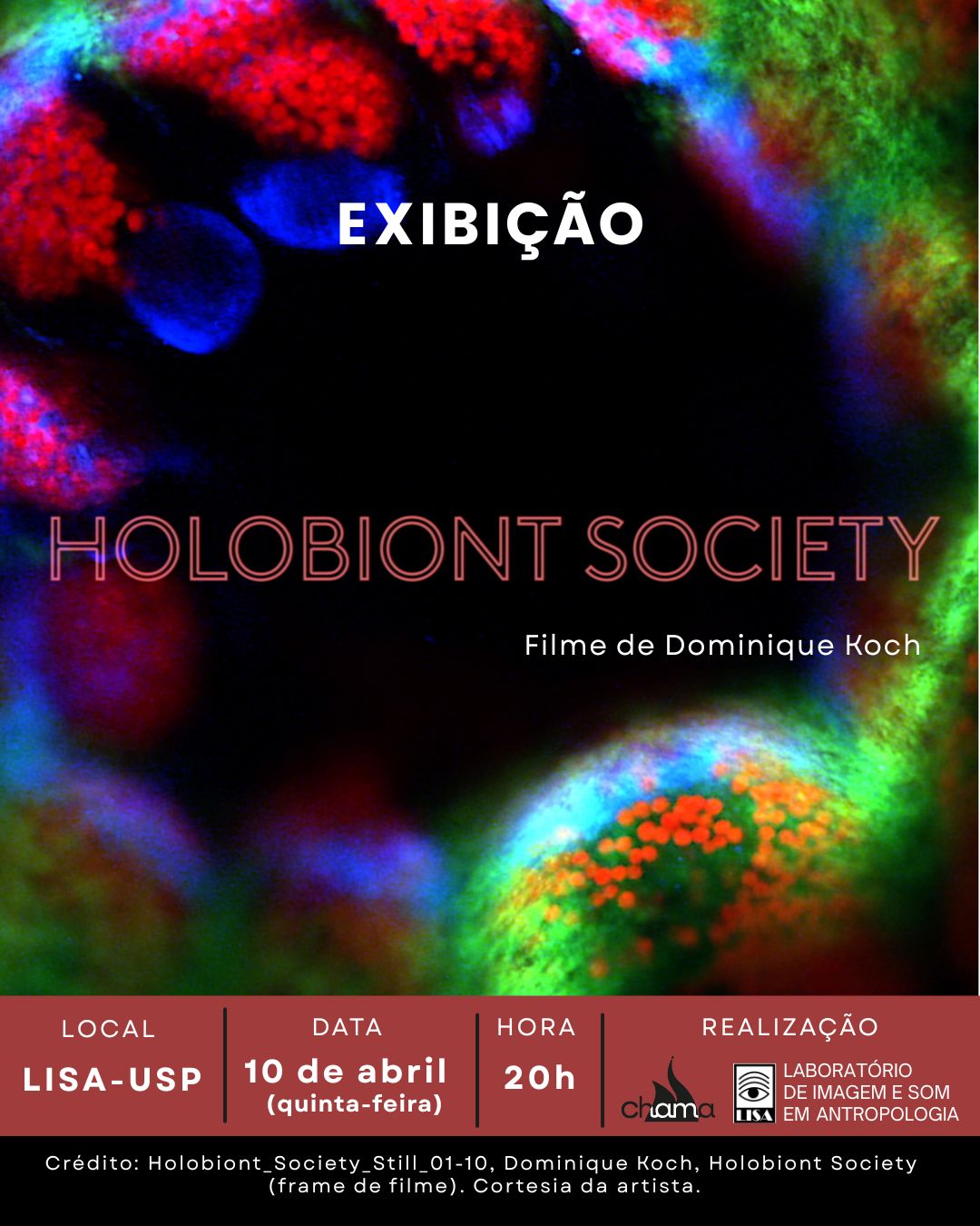 Screening of the film "Holobiont Society" by Swiss artist Dominique Koch.